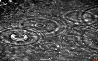 200-1323_Natural-Falling-Rain-Drops